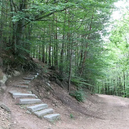 Daire Meuble Celtic *