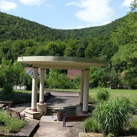 Daire Meuble Celtic Niederbronn-les-Bains